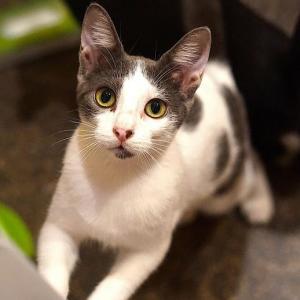 Zoe