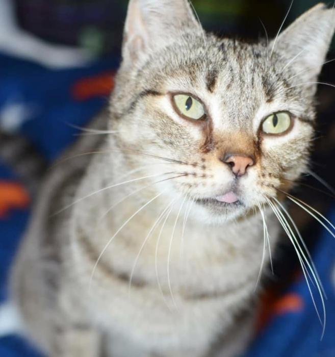 Mica